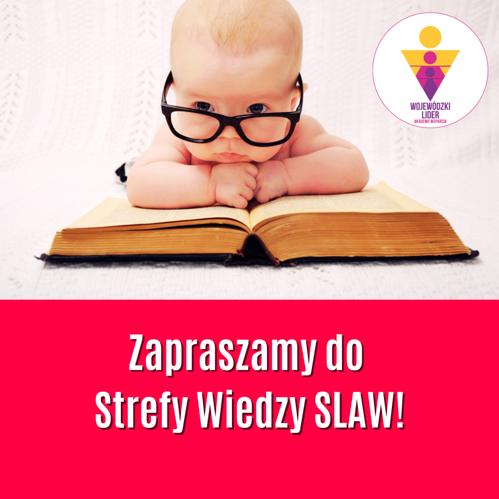 KLAW SLAW WLAW Akademia Wsparcia szkolenia projekt żłobki śląskie najmlodsi.pl
