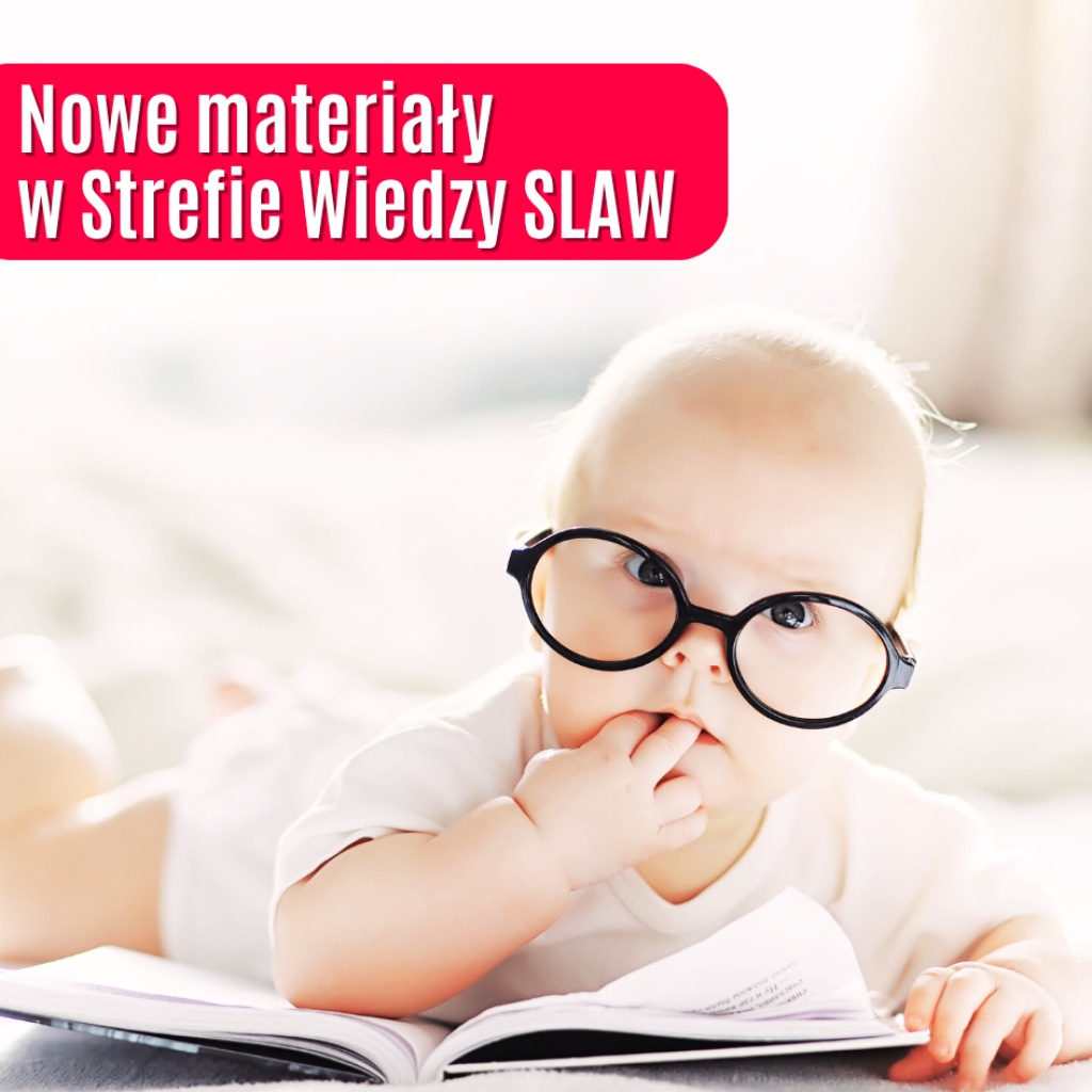 szkolenia projektowe śląska akademia wsparcia żłobki śląskie maluch najmlodsi.pl bezpłatne szkolenia